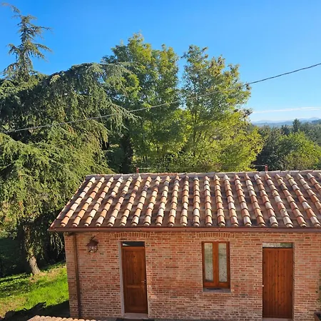 L'albero Di Gameli *
