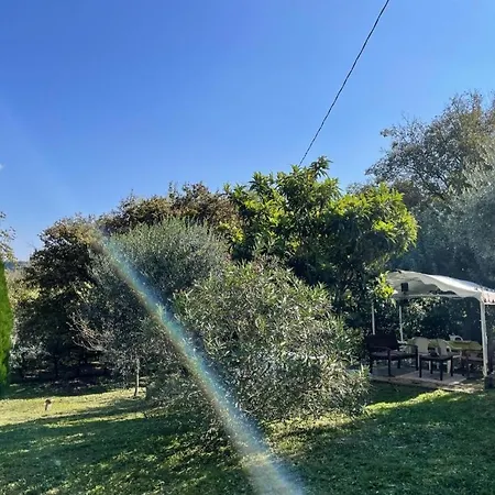 Lejlighed L'albero Di Gameli Chiusi